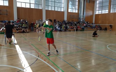 Šolsko državno prvenstvo v badmintonu