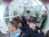 IMG_20240530_103604_1