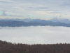 IMG-2041ee9b5dc78288695aca81e6704c72-V